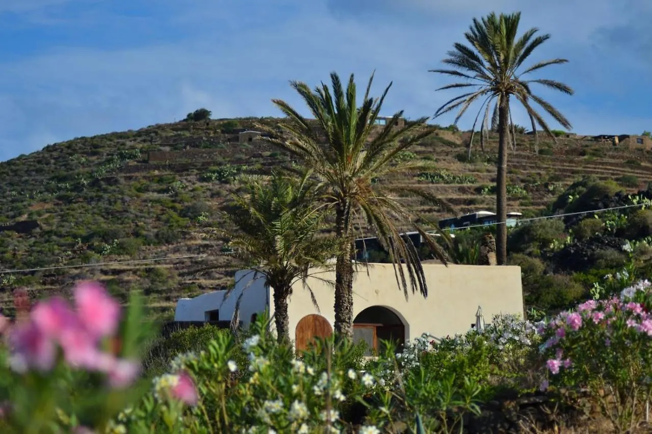 Radyshams Dammusi Le Palme & Bait Villa Siba Holiday home